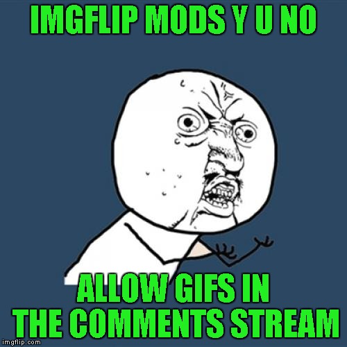 Y U No Meme | IMGFLIP MODS Y U NO ALLOW GIFS IN THE COMMENTS STREAM | image tagged in memes,y u no | made w/ Imgflip meme maker