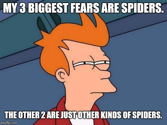 Futurama Fry Meme | MY 3 BIGGEST FEARS ARE SPIDERS. THE OTHER 2 ARE JUST OTHER KINDS OF SPIDERS. | image tagged in memes,futurama fry | made w/ Imgflip meme maker