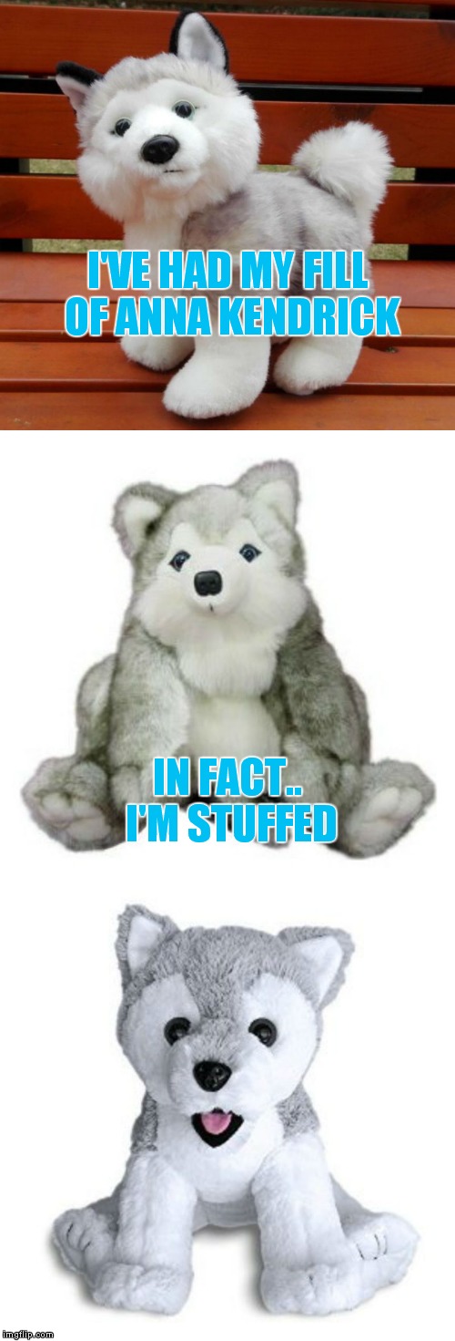 And now a word from Bad Pun Dog's stuffed buddy... | I'VE HAD MY FILL OF ANNA KENDRICK; IN FACT.. I'M STUFFED | image tagged in bad pun dog,stuffed animal | made w/ Imgflip meme maker