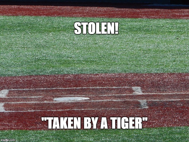 BE ON THE LOOK OUT! | STOLEN! "TAKEN BY A TIGER" | image tagged in baseball,home plate | made w/ Imgflip meme maker
