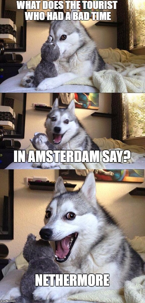 Bad Pun Dog | WHAT DOES THE TOURIST WHO HAD A BAD TIME; IN AMSTERDAM SAY? NETHERMORE | image tagged in memes,bad pun dog | made w/ Imgflip meme maker