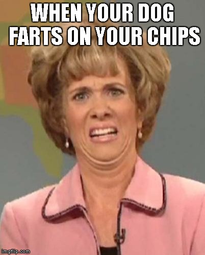 Disgusted Daisy | WHEN YOUR DOG FARTS ON YOUR CHIPS | image tagged in disgusted daisy | made w/ Imgflip meme maker
