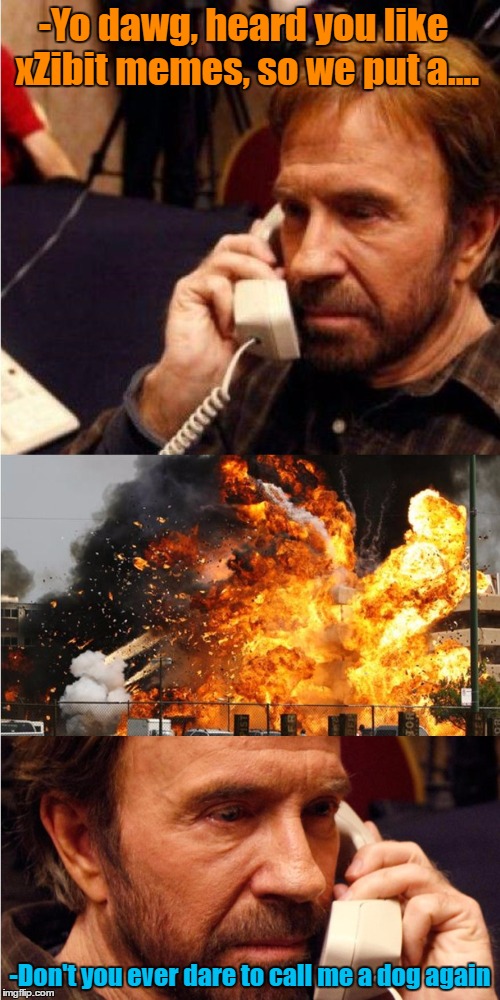 -Yo dawg, heard you like xZibit memes, so we put a.... -Don't you ever dare to call me a dog again | image tagged in chuck norris angry call | made w/ Imgflip meme maker
