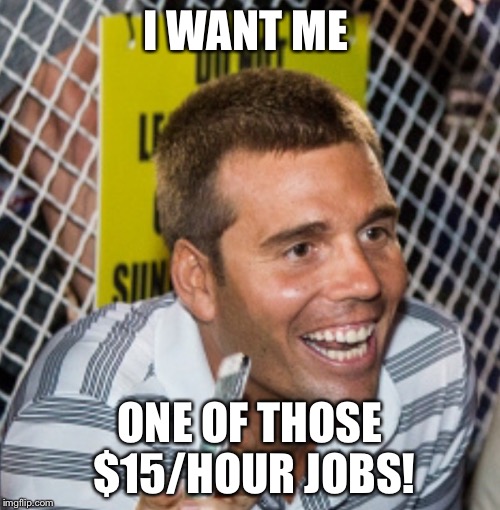 PONDERING EMPLOYMENT |  I WANT ME; ONE OF THOSE $15/HOUR JOBS! | image tagged in a true fan | made w/ Imgflip meme maker