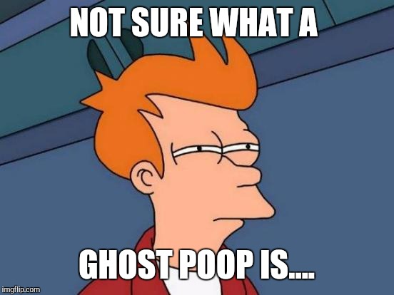 Futurama Fry Meme | NOT SURE WHAT A GHOST POOP IS.... | image tagged in memes,futurama fry | made w/ Imgflip meme maker