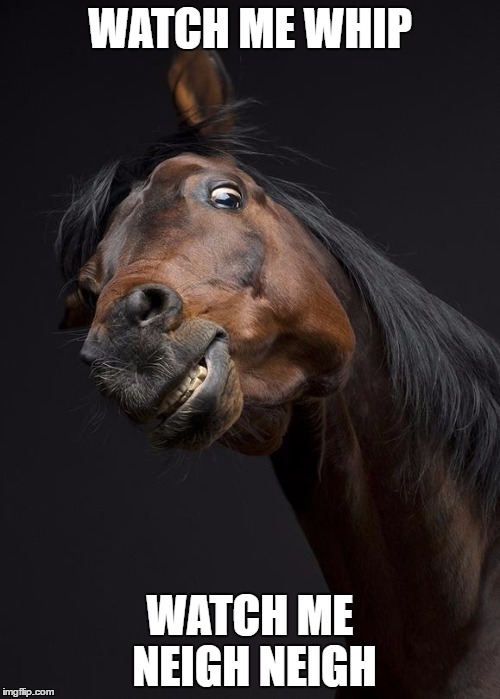 ScaryHorse | WATCH ME WHIP; WATCH ME NEIGH NEIGH | image tagged in scaryhorse | made w/ Imgflip meme maker