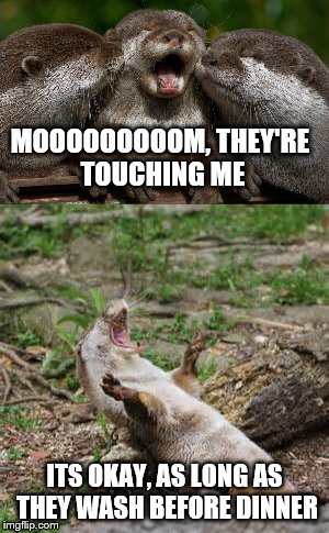 Otterly heartless mom. | MOOOOOOOOOM, THEY'RE TOUCHING ME; ITS OKAY, AS LONG AS THEY WASH BEFORE DINNER | image tagged in memes,animals,otters | made w/ Imgflip meme maker