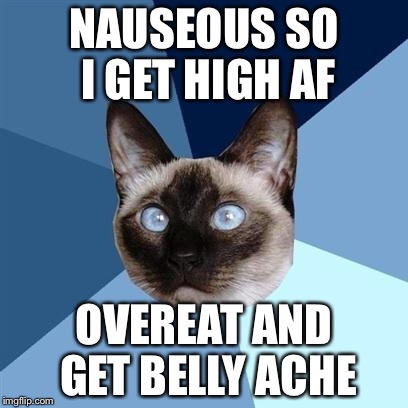 Chronic illness cat | NAUSEOUS SO I GET HIGH AF; OVEREAT AND GET BELLY ACHE | image tagged in chronic illness cat | made w/ Imgflip meme maker