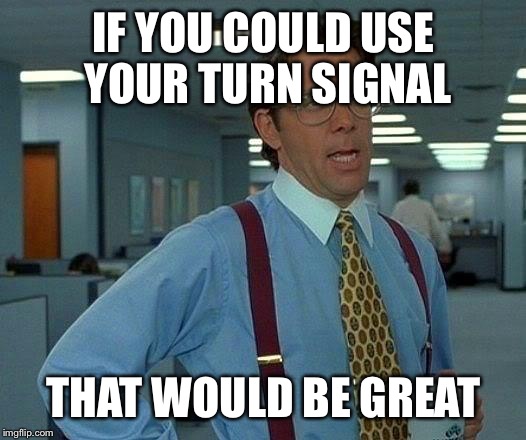 I've noticed hardly anyone uses theirs lately | IF YOU COULD USE YOUR TURN SIGNAL; THAT WOULD BE GREAT | image tagged in memes,that would be great | made w/ Imgflip meme maker