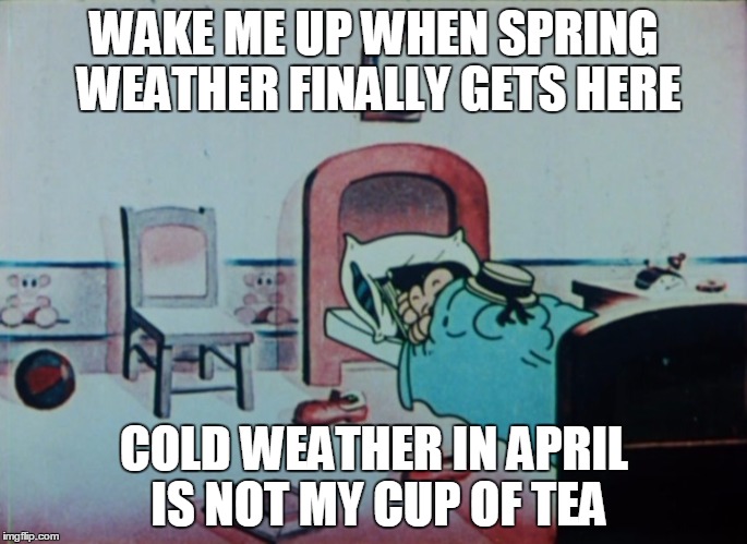 WAKE ME UP WHEN SPRING WEATHER FINALLY GETS HERE; COLD WEATHER IN APRIL IS NOT MY CUP OF TEA | image tagged in memes | made w/ Imgflip meme maker