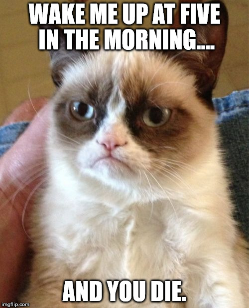 Grumpy Cat Meme | WAKE ME UP AT FIVE IN THE MORNING.... AND YOU DIE. | image tagged in memes,grumpy cat | made w/ Imgflip meme maker