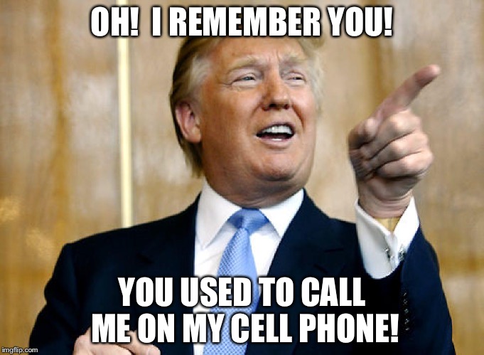 Donald Trump Pointing | OH!  I REMEMBER YOU! YOU USED TO CALL ME ON MY CELL PHONE! | image tagged in donald trump pointing | made w/ Imgflip meme maker