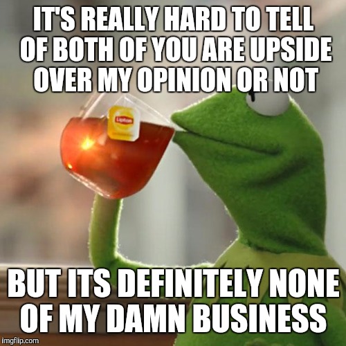 But That's None Of My Business Meme | IT'S REALLY HARD TO TELL OF BOTH OF YOU ARE UPSIDE OVER MY OPINION OR NOT BUT ITS DEFINITELY NONE OF MY DAMN BUSINESS | image tagged in memes,but thats none of my business,kermit the frog | made w/ Imgflip meme maker