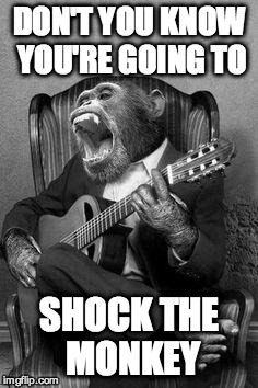 Monkey birthday jam |  DON'T YOU KNOW YOU'RE GOING TO; SHOCK THE MONKEY | image tagged in monkey birthday jam | made w/ Imgflip meme maker