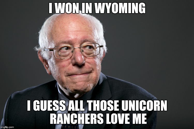 Blue Skies .... | I WON IN WYOMING; I GUESS ALL THOSE UNICORN RANCHERS LOVE ME | image tagged in bernie sanders,wyoming,unicorn,election 2016 | made w/ Imgflip meme maker