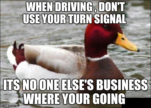 Malicious Advice Mallard | WHEN DRIVING , DON'T USE YOUR TURN SIGNAL; ITS NO ONE ELSE'S BUSINESS WHERE YOUR GOING | image tagged in memes,malicious advice mallard | made w/ Imgflip meme maker