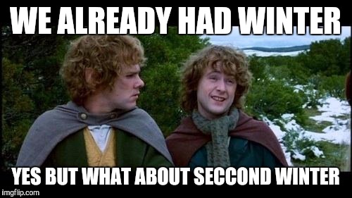 LOTR | WE ALREADY HAD WINTER; YES BUT WHAT ABOUT SECCOND WINTER | image tagged in lotr | made w/ Imgflip meme maker