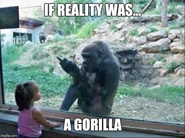 Bad Monkey | IF REALITY WAS... A GORILLA | image tagged in bad monkey | made w/ Imgflip meme maker