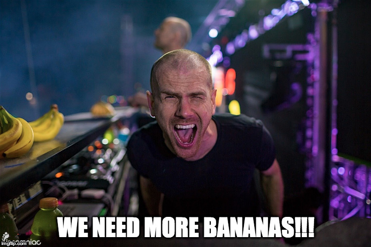 More Bananas! | WE NEED MORE BANANAS!!! | image tagged in dada life,dada nation,dada,bananas,rave,edm | made w/ Imgflip meme maker