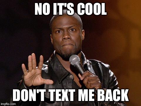 kevin hart | NO IT'S COOL; DON'T TEXT ME BACK | image tagged in kevin hart | made w/ Imgflip meme maker