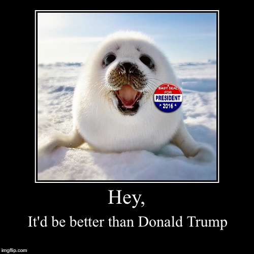 Hey, | It'd be better than Donald Trump | image tagged in funny,demotivationals | made w/ Imgflip demotivational maker