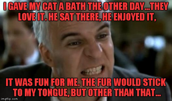 I GAVE MY CAT A BATH THE OTHER DAY...THEY LOVE IT. HE SAT THERE, HE ENJOYED IT, IT WAS FUN FOR ME. THE FUR WOULD STICK TO MY TONGUE, BUT OTH | made w/ Imgflip meme maker