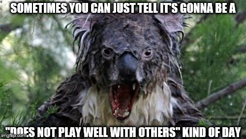 Angry Koala Meme | SOMETIMES YOU CAN JUST TELL IT'S GONNA BE A; "DOES NOT PLAY WELL WITH OTHERS" KIND OF DAY | image tagged in memes,angry koala | made w/ Imgflip meme maker