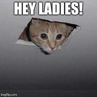 Ceiling Cat | HEY LADIES! | image tagged in memes,ceiling cat | made w/ Imgflip meme maker