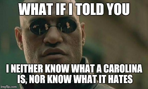 Matrix Morpheus Meme | WHAT IF I TOLD YOU I NEITHER KNOW WHAT A CAROLINA IS, NOR KNOW WHAT IT HATES | image tagged in memes,matrix morpheus | made w/ Imgflip meme maker