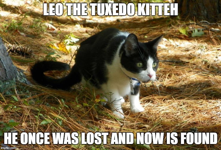 LEO THE TUXEDO KITTEH HE ONCE WAS LOST AND NOW IS FOUND | made w/ Imgflip meme maker