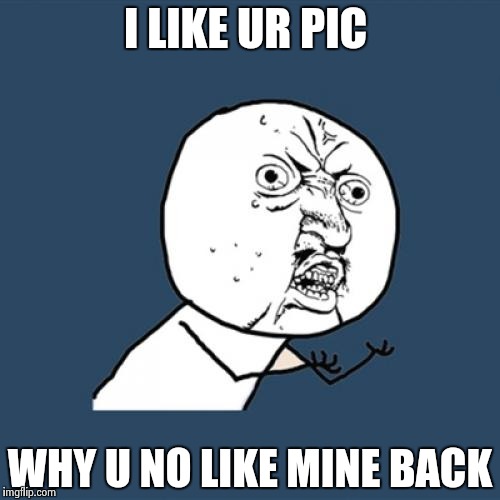 Y U No Meme | I LIKE UR PIC; WHY U NO LIKE MINE BACK | image tagged in memes,y u no | made w/ Imgflip meme maker