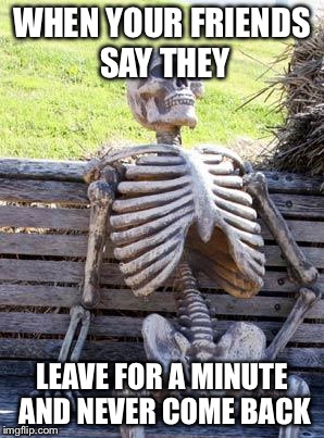 Waiting Skeleton | WHEN YOUR FRIENDS SAY THEY; LEAVE FOR A MINUTE AND NEVER COME BACK | image tagged in memes,waiting skeleton | made w/ Imgflip meme maker