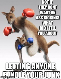 NOT IF THEY DONT WANT AN ASS KICKING! WHAT DID I TELL YOU ABOUT LETTING ANYONE FONDLE YOUR JUNK | made w/ Imgflip meme maker