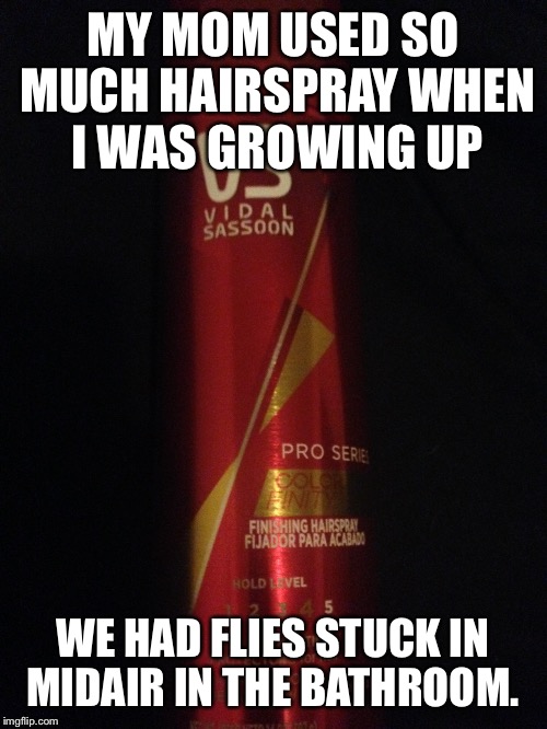 Hair spray  | MY MOM USED SO MUCH HAIRSPRAY WHEN I WAS GROWING UP; WE HAD FLIES STUCK IN MIDAIR IN THE BATHROOM. | image tagged in moms be like | made w/ Imgflip meme maker