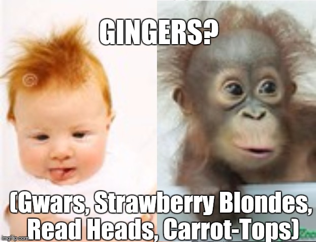 GINGERS? (Gwars, Strawberry Blondes, Read Heads, Carrot-Tops) | made w/ Imgflip meme maker