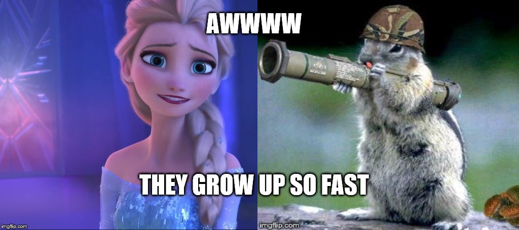 awww | AWWWW; THEY GROW UP SO FAST | image tagged in elsa | made w/ Imgflip meme maker