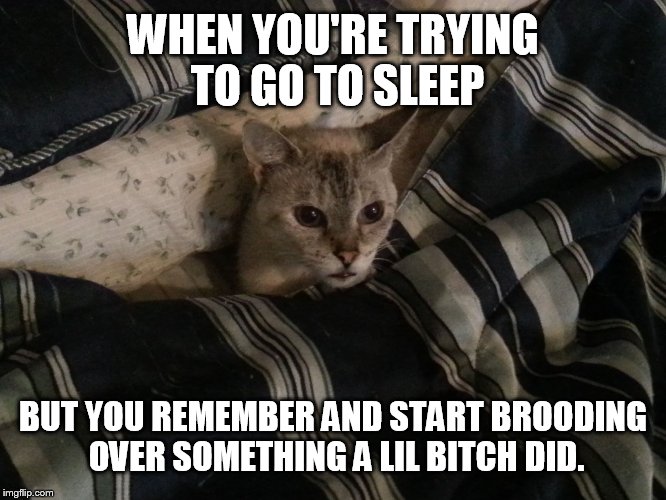 Cat In Bed | WHEN YOU'RE TRYING TO GO TO SLEEP; BUT YOU REMEMBER AND START BROODING OVER SOMETHING A LIL BITCH DID. | image tagged in cat in bed | made w/ Imgflip meme maker