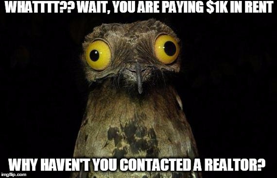 Paying too much rent | WHATTTT?? WAIT, YOU ARE PAYING $1K IN RENT; WHY HAVEN'T YOU CONTACTED A REALTOR? | image tagged in memes,weird stuff i do potoo | made w/ Imgflip meme maker