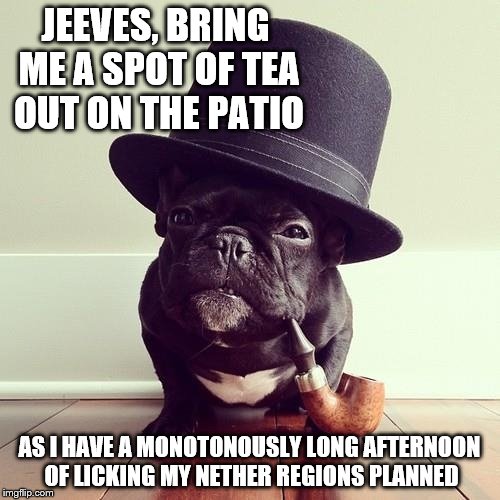 JEEVES, BRING ME A SPOT OF TEA OUT ON THE PATIO AS I HAVE A MONOTONOUSLY LONG AFTERNOON OF LICKING MY NETHER REGIONS PLANNED | made w/ Imgflip meme maker