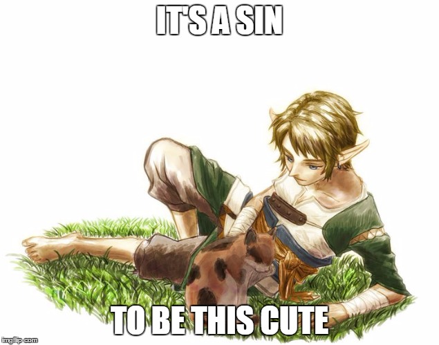 Cute Link | IT'S A SIN; TO BE THIS CUTE | image tagged in adorable,link,zelda,cat,hot | made w/ Imgflip meme maker