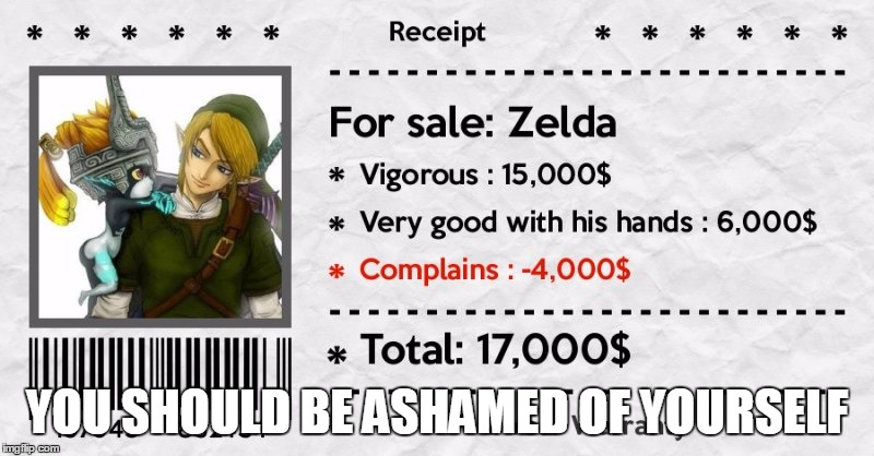Zelda For Auction |  YOU SHOULD BE ASHAMED OF YOURSELF | image tagged in nope,zelda,link,auction | made w/ Imgflip meme maker