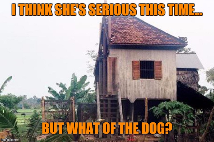 She said she'd take half,... of everything? | I THINK SHE'S SERIOUS THIS TIME... BUT WHAT OF THE DOG? | image tagged in memes,funny,divorce | made w/ Imgflip meme maker