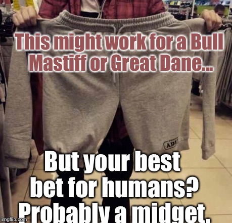 Does anybody know why this was made? Or who it was made FOR? | This might work for a Bull Mastiff or Great Dane... But your best bet for humans? Probably a midget. | image tagged in memes,epic fail,shopping | made w/ Imgflip meme maker