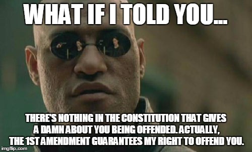 Morpheus Wisdom | WHAT IF I TOLD YOU... THERE'S NOTHING IN THE CONSTITUTION THAT GIVES A DAMN ABOUT YOU BEING OFFENDED. ACTUALLY, THE 1ST AMENDMENT GUARANTEES MY RIGHT TO OFFEND YOU. | image tagged in memes,matrix morpheus,political,funny | made w/ Imgflip meme maker