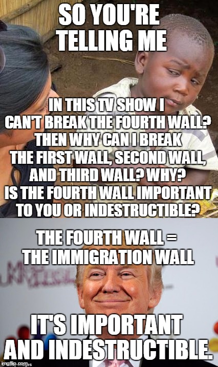 Donald Trumps Immigration Wall AKA The Fourth Wall | SO YOU'RE TELLING ME; IN THIS TV SHOW I CAN'T BREAK THE FOURTH WALL? THEN WHY CAN I BREAK THE FIRST WALL, SECOND WALL, AND THIRD WALL? WHY? IS THE FOURTH WALL IMPORTANT TO YOU OR INDESTRUCTIBLE? THE FOURTH WALL = THE IMMIGRATION WALL; IT'S IMPORTANT AND INDESTRUCTIBLE. | image tagged in memes,fourth wall,illegal immigration,donald trump,third world skeptical kid,tv | made w/ Imgflip meme maker
