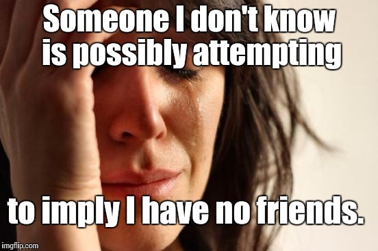 First World Problems Meme | Someone I don't know is possibly attempting to imply I have no friends. | image tagged in memes,first world problems | made w/ Imgflip meme maker