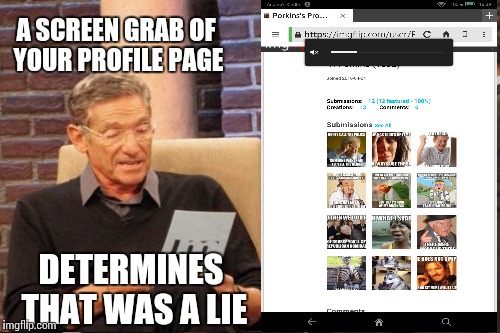 A SCREEN GRAB OF YOUR PROFILE PAGE DETERMINES THAT WAS A LIE | made w/ Imgflip meme maker