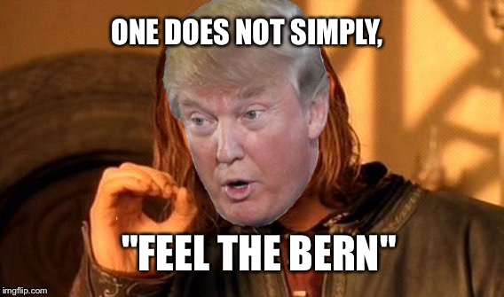 One Does Not Simply | ONE DOES NOT SIMPLY, "FEEL THE BERN" | image tagged in memes,one does not simply,donald trump,ted cruz,hillary clinton | made w/ Imgflip meme maker