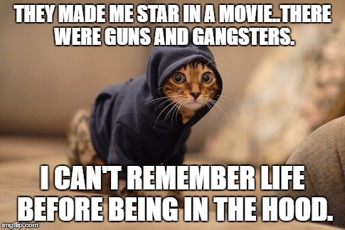 Hoody Cat Meme | THEY MADE ME STAR IN A MOVIE..THERE WERE GUNS AND GANGSTERS. I CAN'T REMEMBER LIFE BEFORE BEING IN THE HOOD. | image tagged in memes,hoody cat | made w/ Imgflip meme maker
