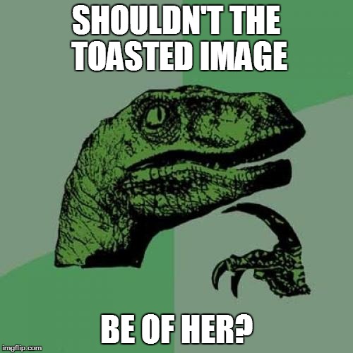 Philosoraptor Meme | SHOULDN'T THE TOASTED IMAGE BE OF HER? | image tagged in memes,philosoraptor | made w/ Imgflip meme maker
